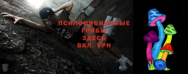 твердый Абинск