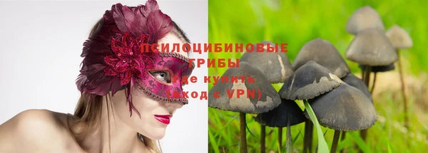 твердый Абинск