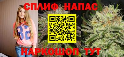кокс Можга