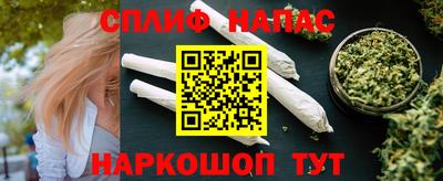 МДПВ Моздок