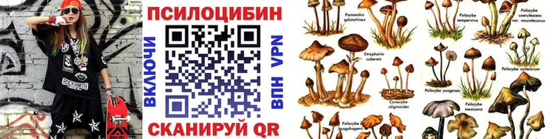 магазин продажи наркотиков  Благовещенск  Галлюциногенные грибы мицелий 