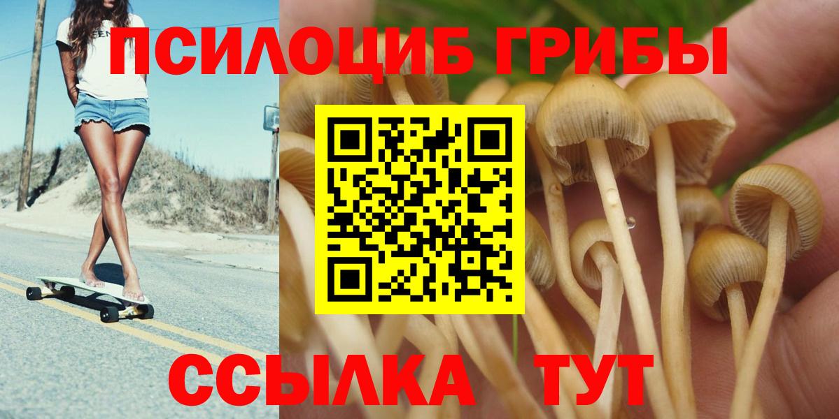 Галлюциногенные грибы Psilocybine cubensis Благовещенск