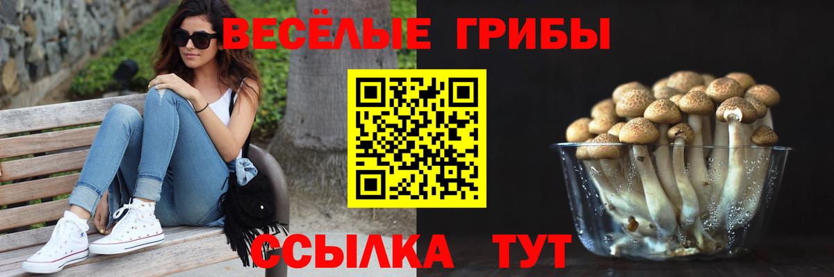 Благовещенск  Псилоцибиновые грибы Psilocybe  Вход с VPN 